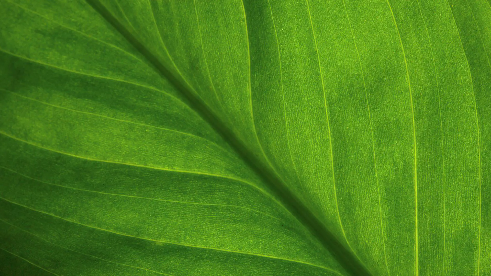 AI and ESG: How technology is powering investments in a sustainable future