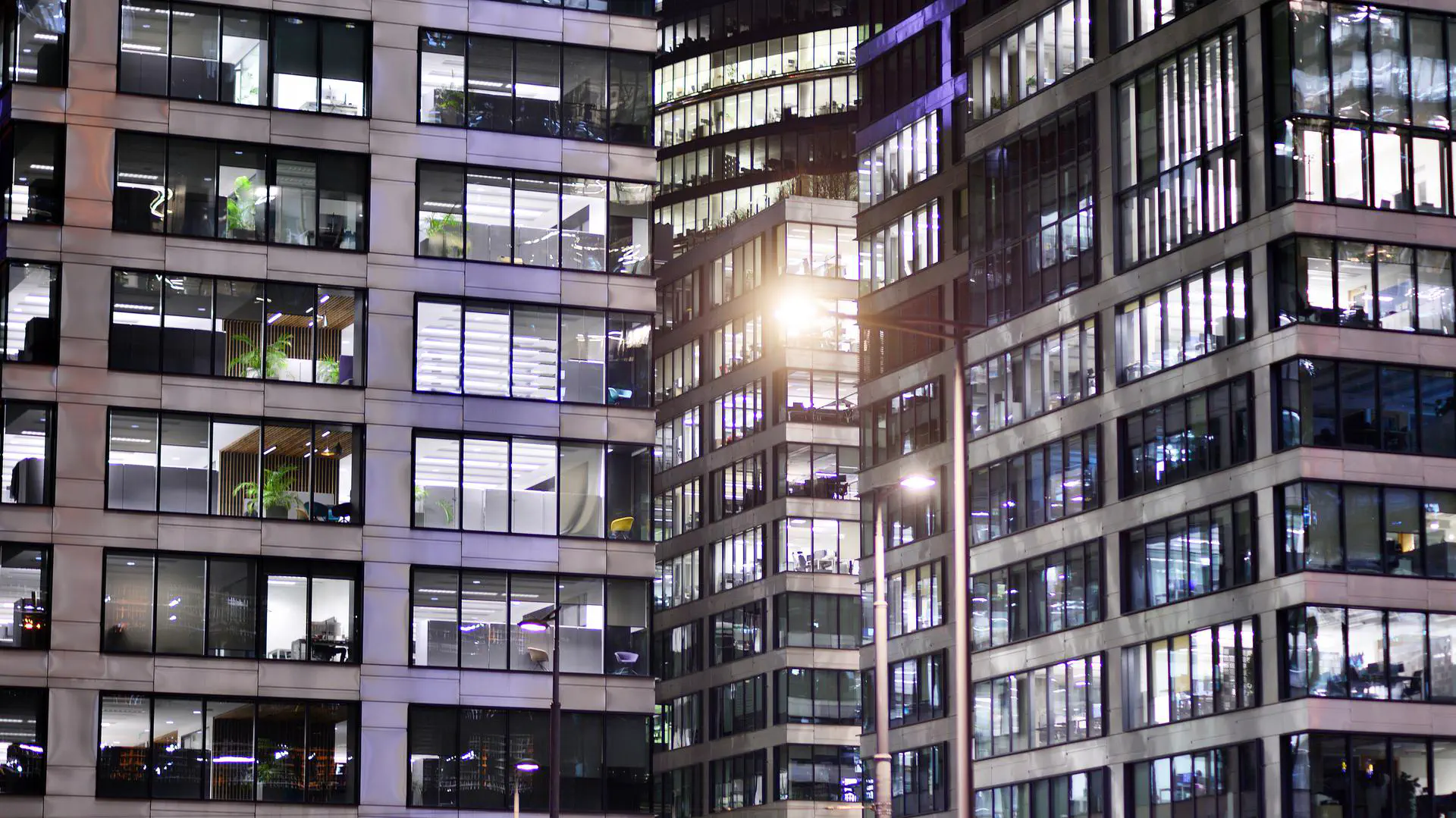 Best Real Estate Software Development Companies